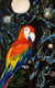 Parrot and the silvery night sky (ART_7666_51307) - Handpainted Art Painting - 10in X 15in