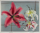 Lily, Hand‚Äìcolored Collotype From Some Japanese Flowers 2(1896) by Kazumasa Ogawa
(PRT_5417) - Canvas Art Print - 26in X 22in