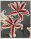 Lily, Hand‚Äìcolored Collotype From Some Japanese Flowers 7(1896) by Kazumasa Ogawa
(PRT_5452) - Canvas Art Print - 23in X 28in