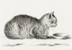 Lying Cat For A Dish (1812) by Jean Bernard (1775-1883)
(PRT_5453) - Canvas Art Print - 29in X 20in