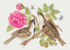 The 18th Century Illustration Of Pair Of Brown Birds On Rose Stem With Butterfly And Spider (PRT_5731) - Canvas Art Print - 22in X 16in