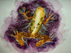 Golden Toad (ART_7823_53358) - Handpainted Art Painting - 11in X 9in