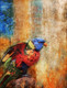 Parrot,Nice Bird,Colorful Parrot , scarlet macaws,Colorful Parrot Species