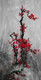 Fengshui Tree,Floral Tree,Red Flower Tree,Red Flower Bunch