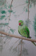 Parrot on a bark (ART_7573_53677) - Handpainted Art Painting - 11in X 17in