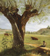 Pollard Willow After By Pierre Jean Boquet (PRT_6699) - Canvas Art Print - 24in X 27in