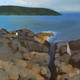 Blue Sea (PRT_5839_54709) - Canvas Art Print - 18in X 18in
