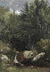 Trees And A Stream On A Hillside (PRT_6693) - Canvas Art Print - 21in X 30in