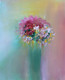 Floral Painting (ART_7915_54833) - Handpainted Art Painting - 14in X 18in