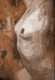 Nude Painting,Bared Body,Female,Women,Pose,Brown background shades,Beauty,Breathing