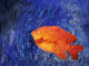 fish, painting of a fish, orange fish, gold fish, alone fish, lonely fish