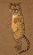 Cheshire Cat (1915) Costume Design For Alice In Wonderland By William Penhallow Henderson (PRT_7310) - Canvas Art Print - 21in X 35in