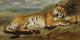 Tiger Resting (PRT_7766) - Canvas Art Print - 18in X 9in