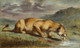 Wounded Lioness (PRT_7770) - Canvas Art Print - 18in X 11in