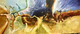 Modern art painting  (ART_6706_56433) - Handpainted Art Painting - 60in X 30in