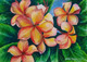 Blushing Plumeria Flowers (ART_1292_56111) - Handpainted Art Painting - 12in X 16in