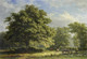 View In The Bentheim Forest By George Andries Roth (PRT_8299) - Canvas Art Print - 23in X 16in