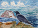 A crow  - counting the sea waves (ART_8033_56451) - Handpainted Art Painting - 12in X 8in