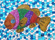 Fish Mosaic Art (ART_8032_56447) - Handpainted Art Painting - 11 in X 8in