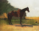 Saddle Horse In Farm Yard By Winslow Homer (PRT_8337) - Canvas Art Print - 22in X 18in