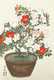 Blooming Azalea In Brown Pot By Ohara Koson (PRT_8406) - Canvas Art Print - 23in X 34in