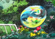 Bubble Reflections (PRT_924_2743) - Canvas Art Print - 16in X 11in