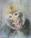 Joke of the ape (ART_8053_57000) - Handpainted Art Painting - 9in X 11in