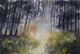Landscape (ART_3389_57543) - Handpainted Art Painting - 20in X 14in