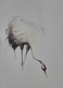 Crane bird (ART_7573_57883) - Handpainted Art Painting - 11in X 14in
