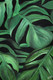Tropical Leafy Delight (ART_5998_57689) - Handpainted Art Painting - 5in X 8in