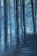Forest scene (ART_8067_57160) - Handpainted Art Painting - 24in X 16in