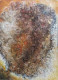 Life - Yellow Blue Pink Red Painting (ART_1626_28211) - Handpainted Art Painting - 14in X 19in