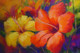 flower, orange flower, orange blossoms, yellow flower, hibiscus