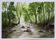 River Bed (ART_8127_58393) - Handpainted Art Painting - 16in X 12in