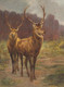 Monarchs Of The Forest By Rosa Bonheur (PRT_9262) - Canvas Art Print - 25in X 34in