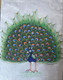 Peacock miniature painting  (ART_8194_59256) - Handpainted Art Painting - 5in X 7in