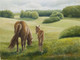 horses, brown horses, mother and child, two brown horse, brown, grazing horse, standing horse, baby horse