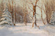 Winterwald By Walter Moras (PRT_10453) - Canvas Art Print - 27in X 17in