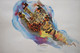 Corntastic 2 (ART_8292_60409) - Handpainted Art Painting - 22in X 15in
