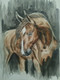 Nature - Brown Horse (ART_8307_60726) - Handpainted Art Painting - 12in X 17in