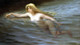 A Sea Nymph (1892) By Luis Ricardo Falero (PRT_10701) - Canvas Art Print - 21in X 12in