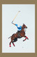 Polo Player (ART_4354_61424) - Handpainted Art Painting - 12in X 16in