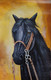 Black Horse 5 (FR_1523_61604) - Handpainted Art Painting - 12in X 23in