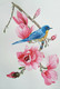 The Blue Bird and the Magnolias (ART_8088_57563) - Handpainted Art Painting - 12in X 16in