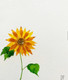 Watercolour sunflower (ART_8396_62685) - Handpainted Art Painting - 8in X 10in