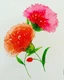 Watercolour Carnations (ART_8396_62683) - Handpainted Art Painting - 10in X 10in