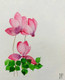Watercolour cyclamen  (ART_8396_62681) - Handpainted Art Painting - 8in X 10in