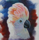 Realistic Cockatoo Parrot By ARTOHOLIC (ART_3319_63392) - Handpainted Art Painting - 24in X 24in