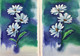 WHITE FLOWERS BY ARTOHOLIC (ART_3319_63520) - Handpainted Art Painting - 48in X 30in