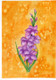 G For Gladiolus (PRT_8121_63489) - Canvas Art Print - 6in X 8in
